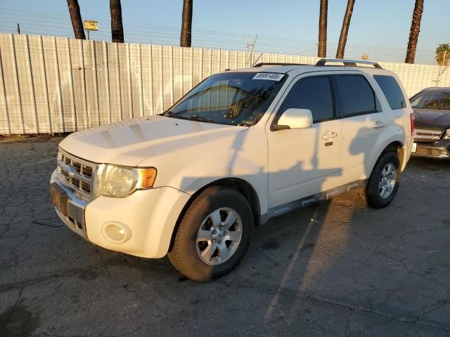 2009 Ford Escape Limited