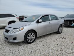 2010 Toyota Corolla Base en venta en Taylor, TX