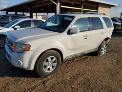 Salvage SUVs for sale at auction: 2010 Ford Escape Limited