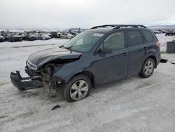 Salvage cars for sale at Helena, MT auction: 2016 Subaru Forester 2.5I Premium