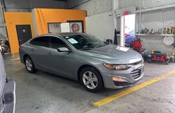 2024 Chevrolet Malibu LS en venta en Orlando, FL