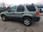 2006 Ford Escape XLT