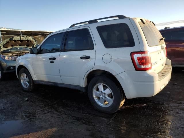 2012 Ford Escape XLT