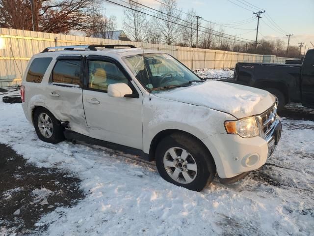 2011 Ford Escape Limited