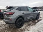 2023 Ford Escape ST Line Elite