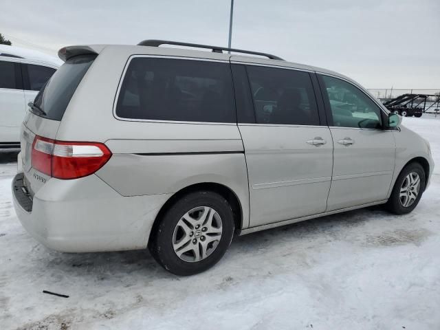 2005 Honda Odyssey EXL