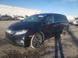 Salvage cars for sale at Farr West, UT auction: 2018 Honda Odyssey Elite