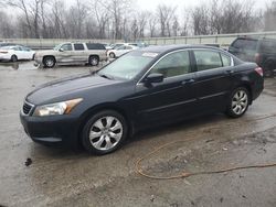 Honda Accord salvage cars for sale: 2008 Honda Accord EXL