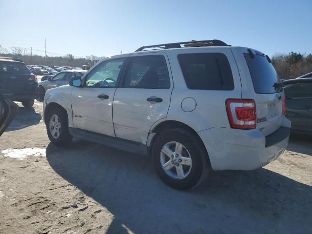 2009 Ford Escape Hybrid