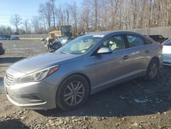 Hyundai Sonata salvage cars for sale: 2016 Hyundai Sonata SE