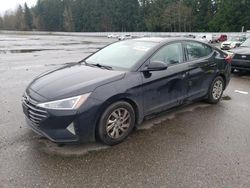 Hyundai salvage cars for sale: 2019 Hyundai Elantra SE