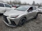 2023 Lexus NX 450H