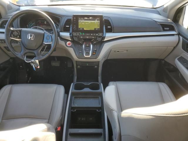 2019 Honda Odyssey EXL