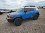 2007 Toyota FJ Cruiser