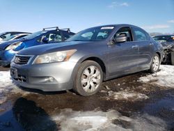 Honda salvage cars for sale: 2010 Honda Accord EXL