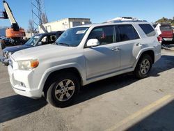 Toyota salvage cars for sale: 2010 Toyota 4runner SR5