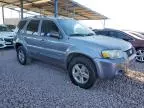 2007 Ford Escape HEV