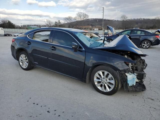 2013 Lexus ES 300H