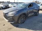 2022 Lexus NX 350