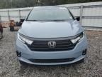 2023 Honda Odyssey SPORT-L