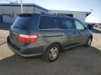 2006 Honda Odyssey EXL