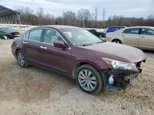 2012 Honda Accord EXL