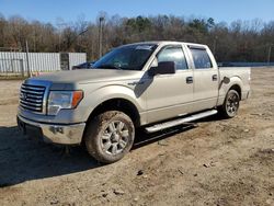 2010 Ford F150 Supercrew en venta en Grenada, MS