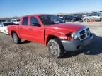 2005 Dodge Dakota Quattro