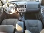 2007 Ford Escape XLT