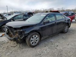 Salvage cars for sale at Louisville, KY auction: 2011 Toyota Camry Base