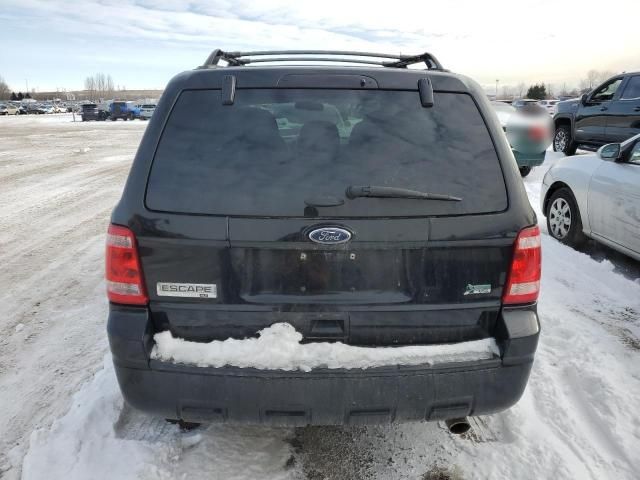 2012 Ford Escape XLT