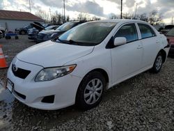 Salvage cars for sale at Columbus, OH auction: 2010 Toyota Corolla Base