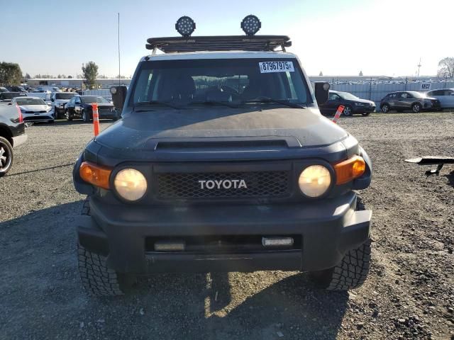 2010 Toyota FJ Cruiser