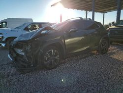 Salvage cars for sale at Phoenix, AZ auction: 2022 Lexus UX 250H Base