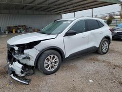 Ford Escape act salvage cars for sale: 2023 Ford Escape Active