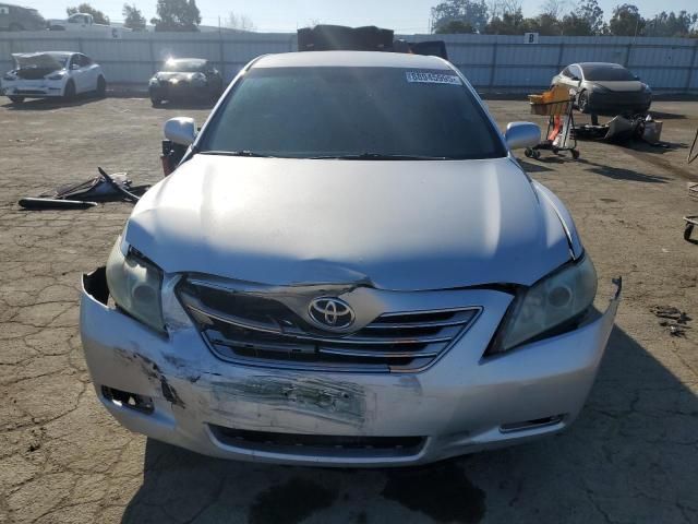 2009 Toyota Camry Hybrid