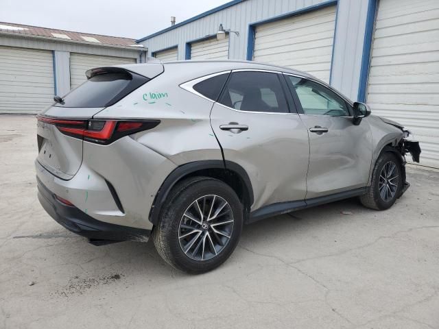 2024 Lexus NX 350 Luxury