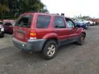 2005 Ford Escape XLT