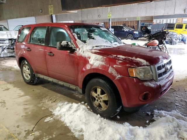 2010 Ford Escape XLS