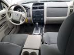 2008 Ford Escape XLS