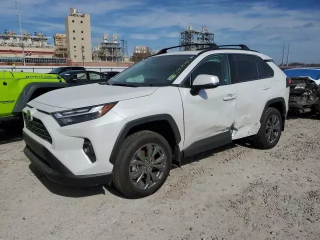 2024 Toyota Rav4 XLE Premium