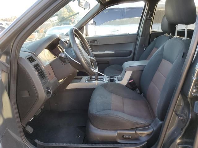 2008 Ford Escape XLT