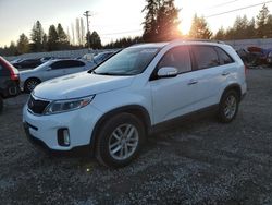 Salvage cars for sale at Graham, WA auction: 2015 KIA Sorento LX