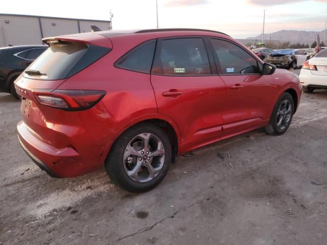 2024 Ford Escape ST Line