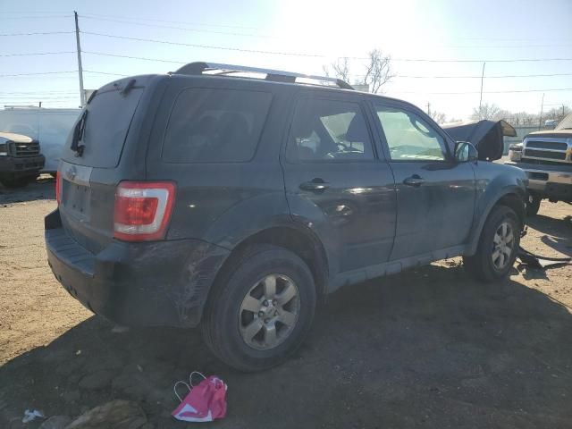 2009 Ford Escape Limited