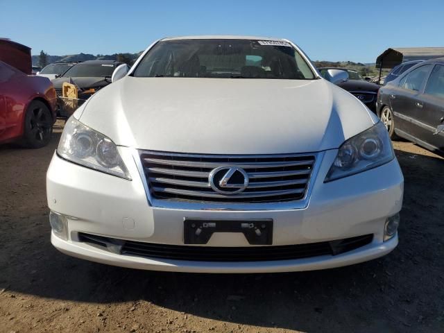 2010 Lexus ES 350