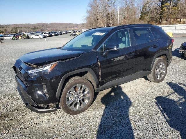 2023 Toyota Rav4 XLE Premium