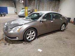 Salvage cars for sale from Copart Chalfont, PA: 2005 Nissan Maxima SE