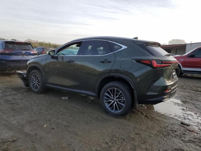 2025 Lexus NX 350H Base