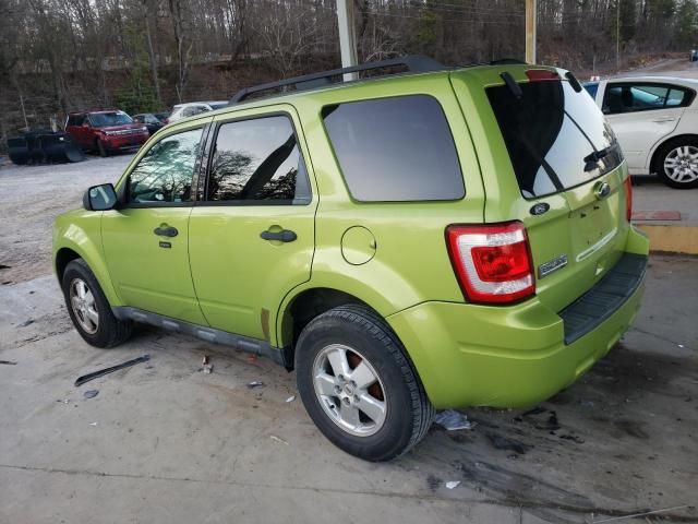 2011 Ford Escape XLT